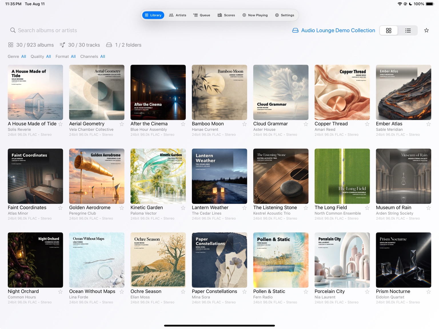 Audio Lounge Air library on iPad