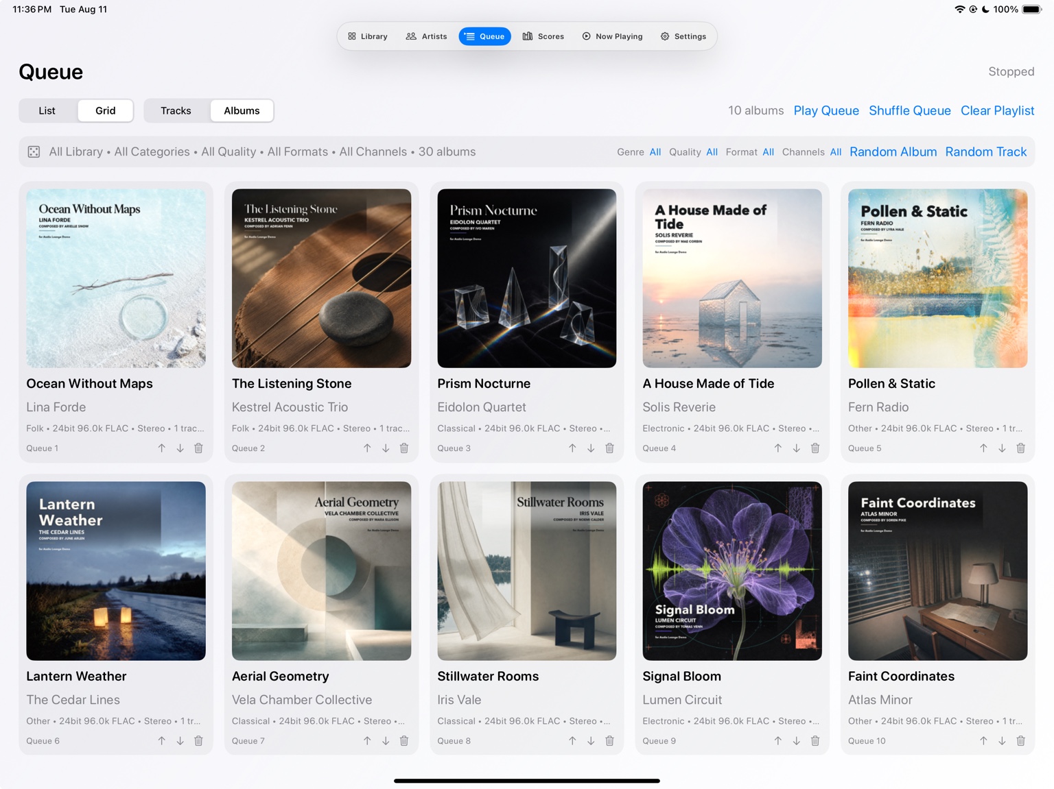 Audio Lounge Air queue on iPad